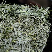 Ohmi Hatsutsumi Shincha