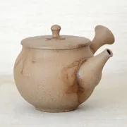 Maekawa Junzō Mogake Kyusu