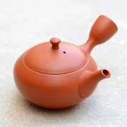 Hokuryu Shudei Hiramaru Small Kyusu