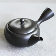Takasuke Kokuyo Kyusu Small