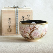 茶盌  乾山 神田大糸桜 