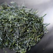 SHINCHA Samidori