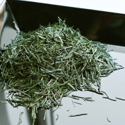 近江特上新茶