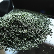 National Tea Competition Tamaryokucha