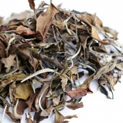 2400年古茶樹白茶