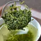 Sencha Karigane
