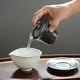 Ruri Tenmoku Gaiwan