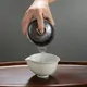 Ruri Tenmoku Gaiwan