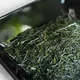 Competitive-Grade Sencha Blend
