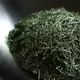 Tsuchiyama Competitive Shincha