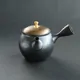 Shōryū Kiwamifuta Kintsumami Kyusu