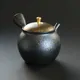 Shōryū Kiwamifuta Kintsumami Kyusu