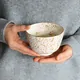 Chawan Sofuzakura