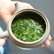 Sakura Sencha