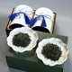 Gyokuro Gyokusui