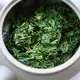 新茶初づみ