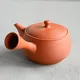 Gyokko Shudei Hirabukuro Sensuji Kyusu