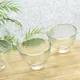 Tsugaru Vidro Tea Cup Set