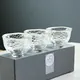 Tsugaru Vidro Tea Cup Set