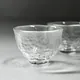 Tsugaru Vidro Tea Cup Set
