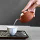 Tōzan Shudei Fujisangata Ushirode Kyusu