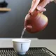 Tōzan Shudei Fujisangata Ushirode Kyusu