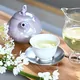 Spring Tea Blend 
