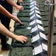 全国茶品評会テイスティングセット