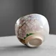 Chawan Kenzan Sagano no Sakura