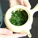 近江新茶さえみどり