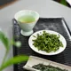 Wazuka Shincha Okumidori