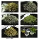 Chinese Green Tea Tasting Set