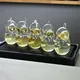 Chinese Green Tea Tasting Set