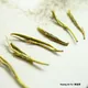 Chinese Green Tea Tasting Set