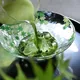 Glass Hira Chawan Giyaman Aokaede