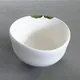 Chawan Haiyū Suiren ni Kaeru