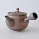 Junzō Kurokinsai Small Kyusu