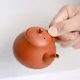 Koie Hiroshi Shudei Darumagata Chachu