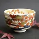 Chawan Momiji Ryūsui
