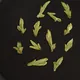 Shi Feng Longjing