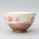 Rikyū Chawan Sakura