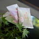 Shincha Kyonishiki