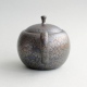 Shōryū Tenmoku Marugata Ushirode Kyusu