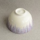 Chawan Ninsei Fuji Yamaoka Zenko