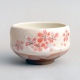小茶碗　桜