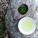 Ohmi Tokujo Shincha 