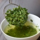 Sencha Seiga