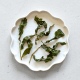 杉林溪高山茶 番仔田